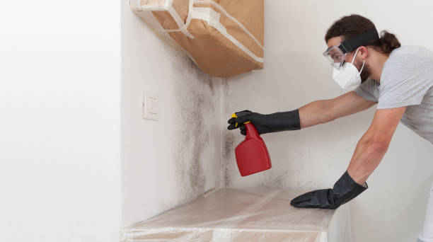 Professional Basement Mold Remediation technician working in Lancaster, PA